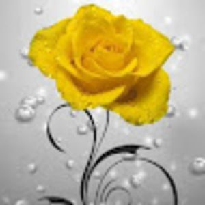 Meet your Posher, C.m.